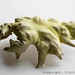 Claire Lindner Photo 9