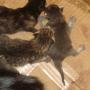 Sally Schaefer Photo 20