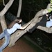 Nancy Barnard Photo 34