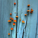 Antonio Davila Photo 36