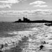 Ann Latham Photo 19