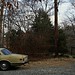 Steven Herman Photo 39