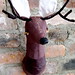 Nicole Buck Photo 21