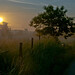 Dawn Morton Photo 18
