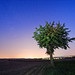Dawn Tuttle Photo 11
