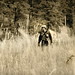 Forrest Smith Photo 40