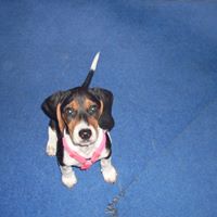 Harriet Russell Photo 7