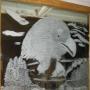 Cindy Heath Photo 40