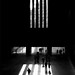Mark Tate Photo 15