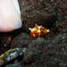 Teresa Mayes Photo 19