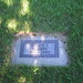 Helen Sharpe Photo 33