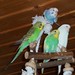 Heidi Weis Photo 8