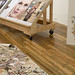 Shawn Cooley Photo 34