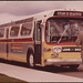 Wayne Lear Photo 10