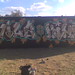 Wil Miller Photo 18