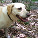 Bonnie Simon Photo 22