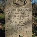Elizabeth Williamson Photo 15