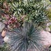Heather Frost Photo 20