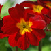 Deborah Spring Photo 7