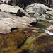 Dana Pool Photo 15