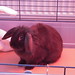Carol Oldfield Photo 14