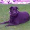 Debra Butterton Photo 1