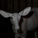 Samantha Hoyt Photo 31