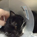 Jack Cone Photo 10