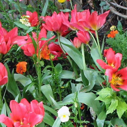 Linda Keene Photo 37