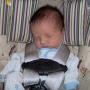 David Roush Photo 18