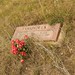 Ralph Kirkpatrick Photo 15