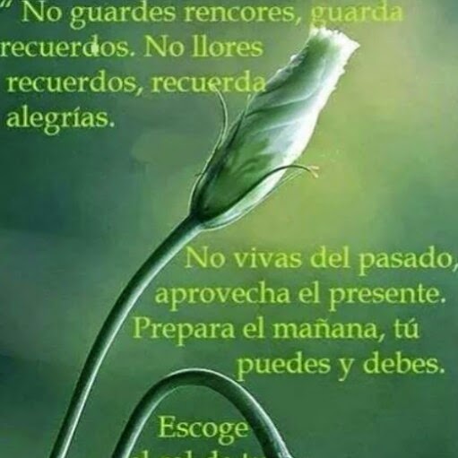 Misael Castro Photo 27