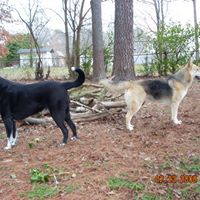 Linda Cole Photo 39