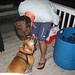 Shane Gilbert Photo 15