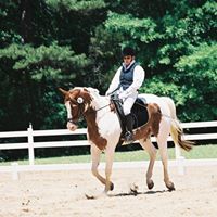 Suzanne Ledford Photo 6