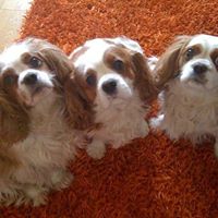 Teresa Mccloskey Photo 7