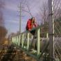 David Danforth Photo 44