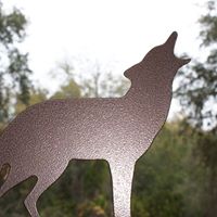 Debra Wolf Photo 45