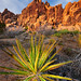 Joshua Neeley Photo 11