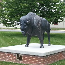 Larry Westbrook Photo 34