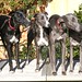 Christine Faber Photo 14