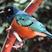 Elizabeth Starling Photo 22