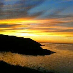 Mark Ross Photo 43