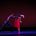 Jesse Liang Photo 21