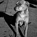 Michelle Nace Photo 9
