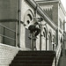 Steve Bailey Photo 27