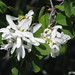 Catherine Berry Photo 46