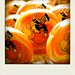 Donald Sweet Photo 20