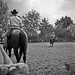 Laura Wester Photo 15