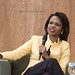 Walter Rice Photo 44